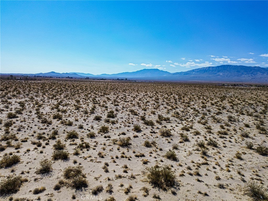 Picture 23