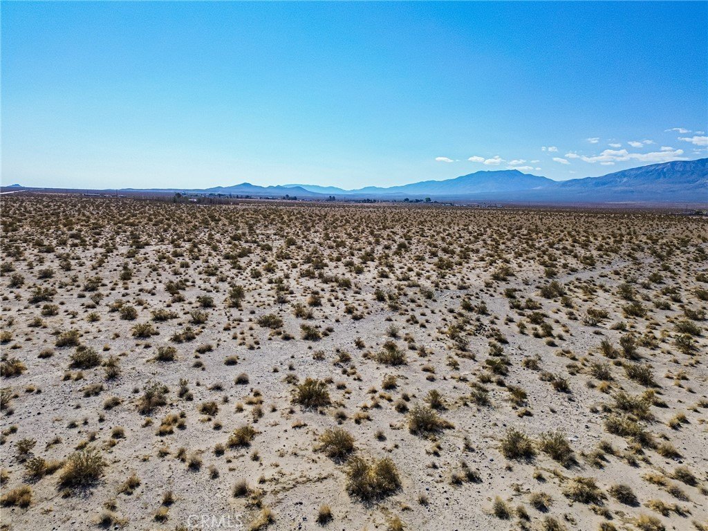 Picture 20