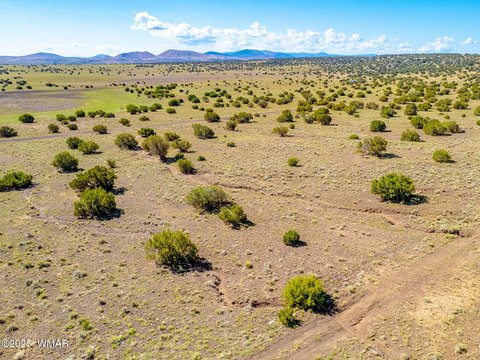 Land in Concho, Arizona