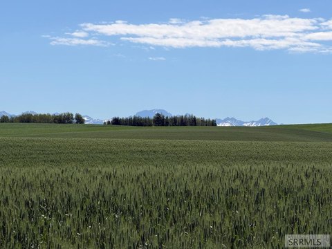 Dry Farm and Recreational Land