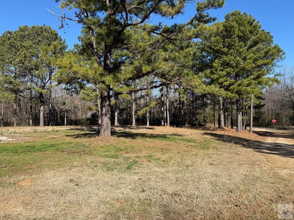 Wooded Land in DeKalb, TX