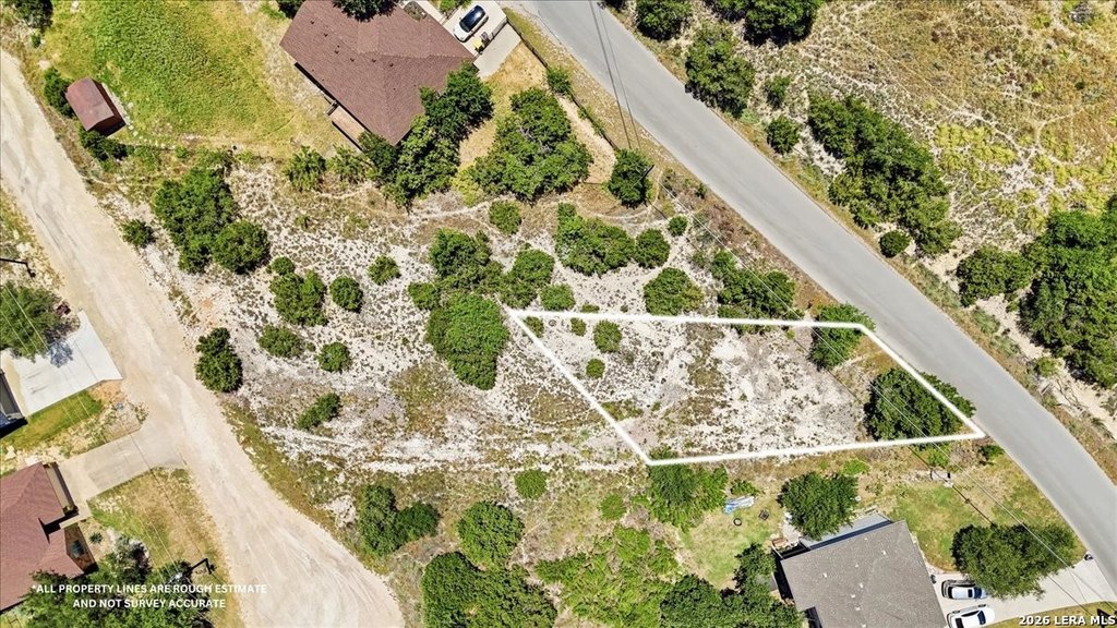 Picture 19