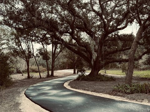 Palm Harbor Executive Acreage Opportunity