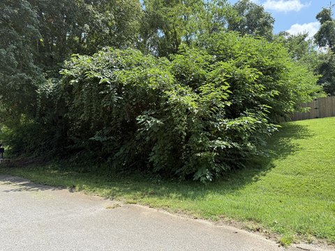 Residential Lot in Established Neighborhood