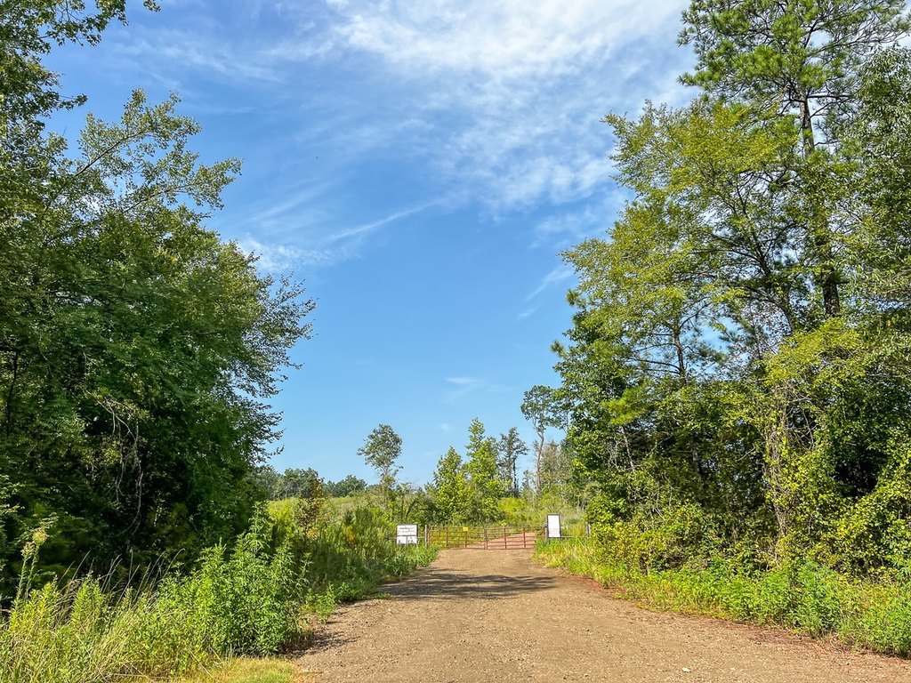 Picture 27