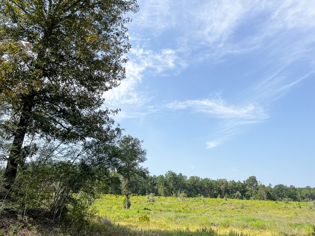 Picture 29