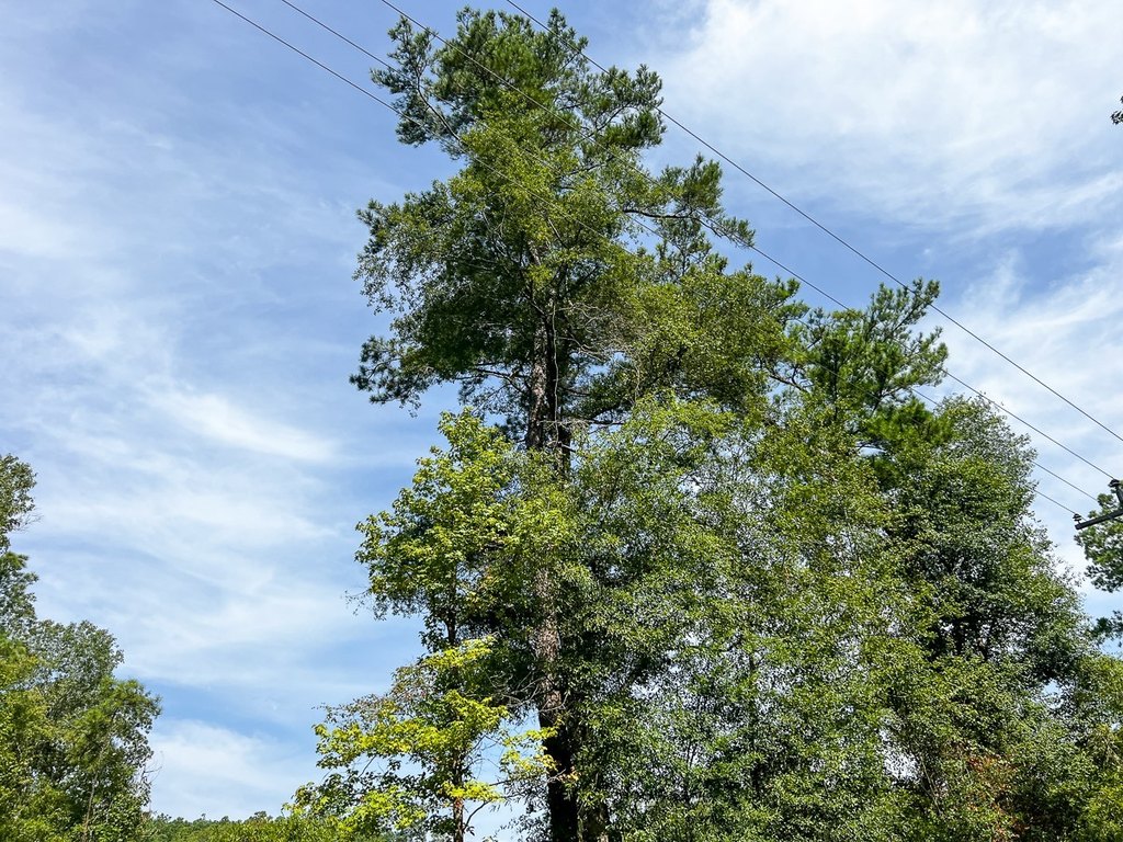 Picture 23