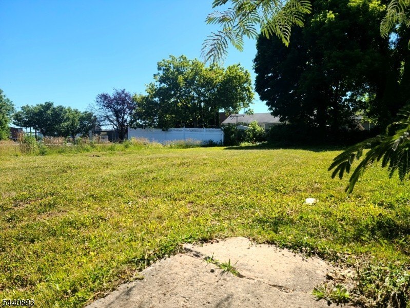 Picture 2