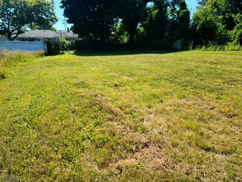 Picture 3