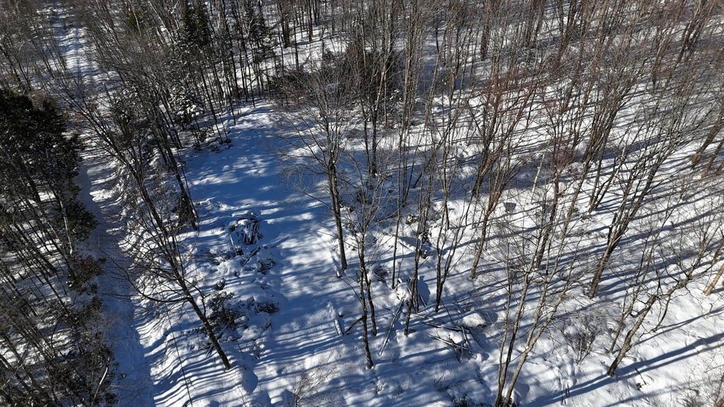 Picture 8