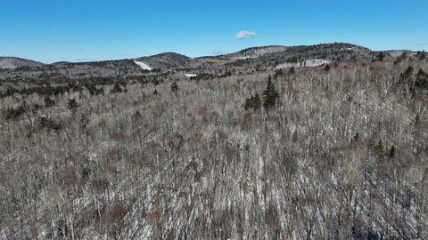 Partially Cleared Sloping Residential Lot