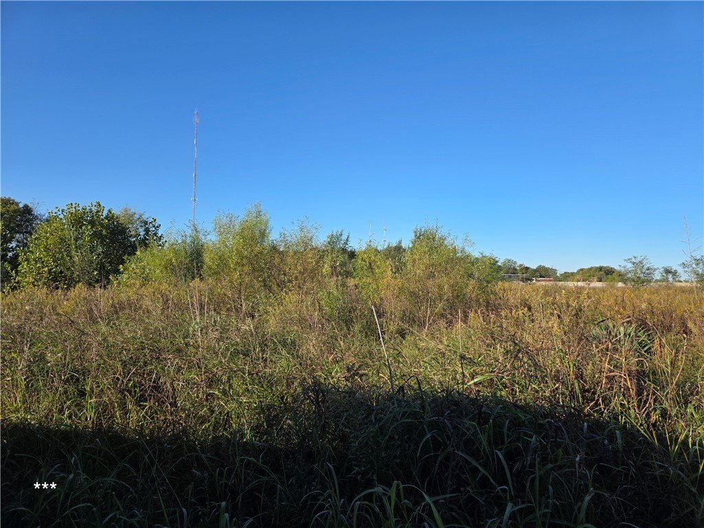 Picture 32