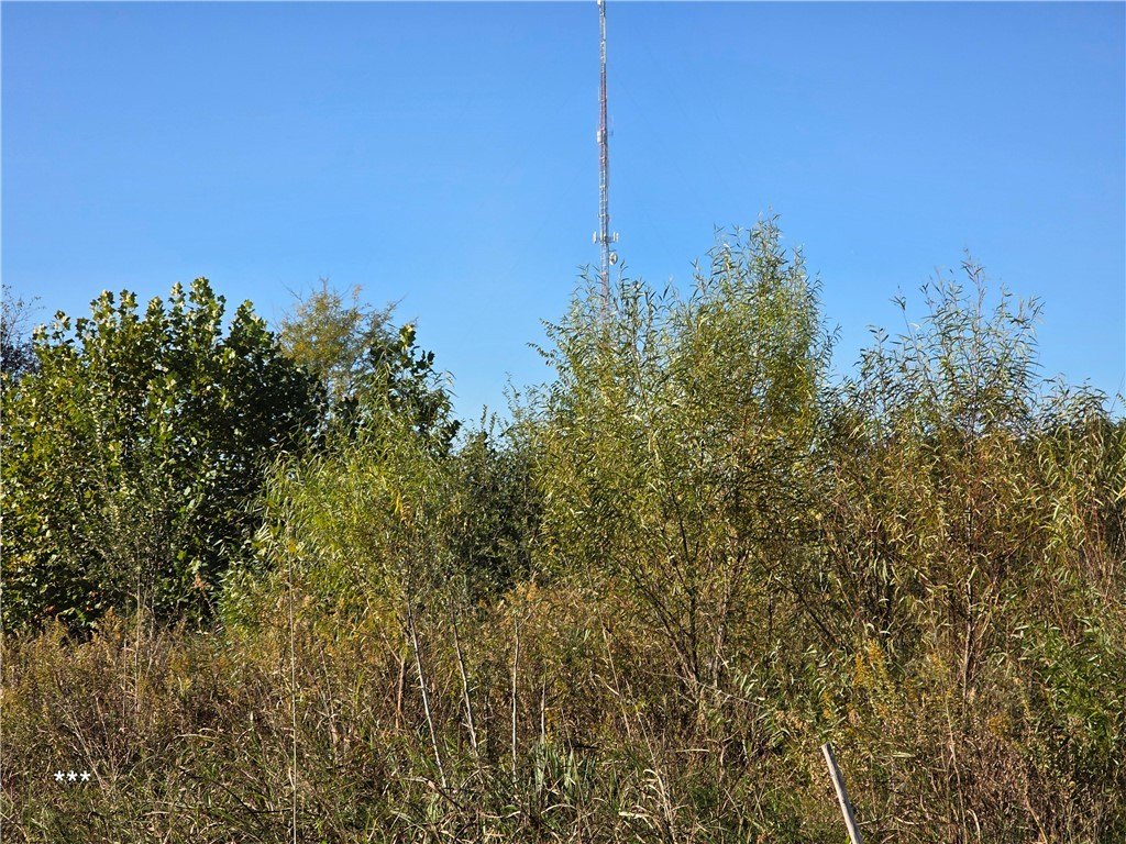 Picture 33