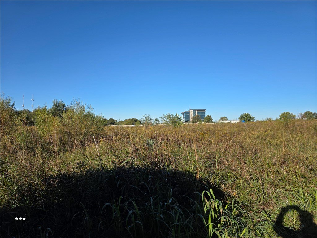 Picture 29
