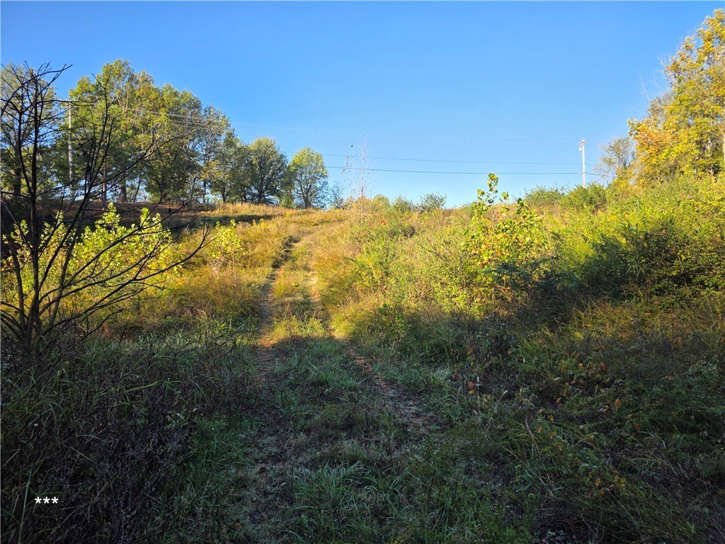Picture 18