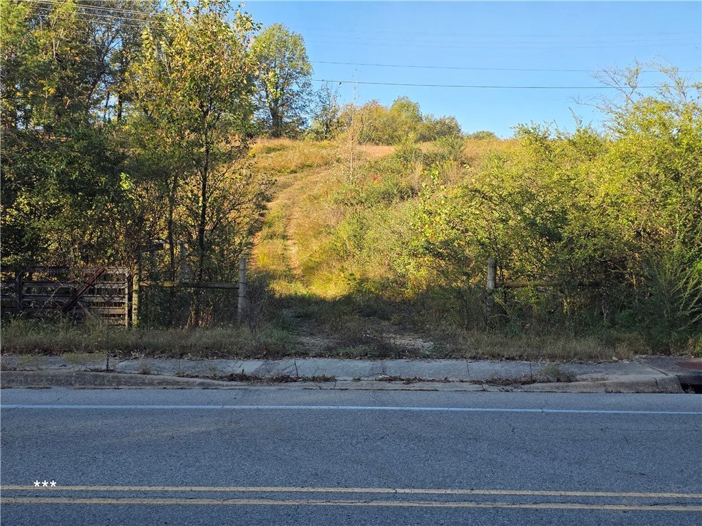 Picture 16