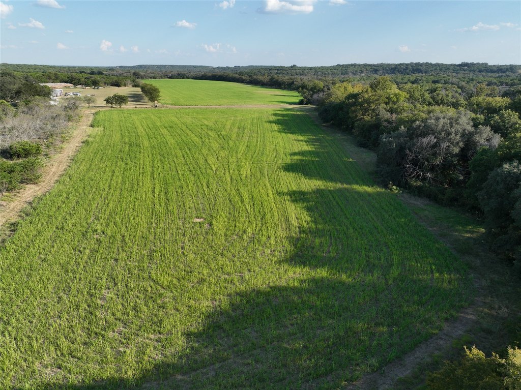 Picture 23