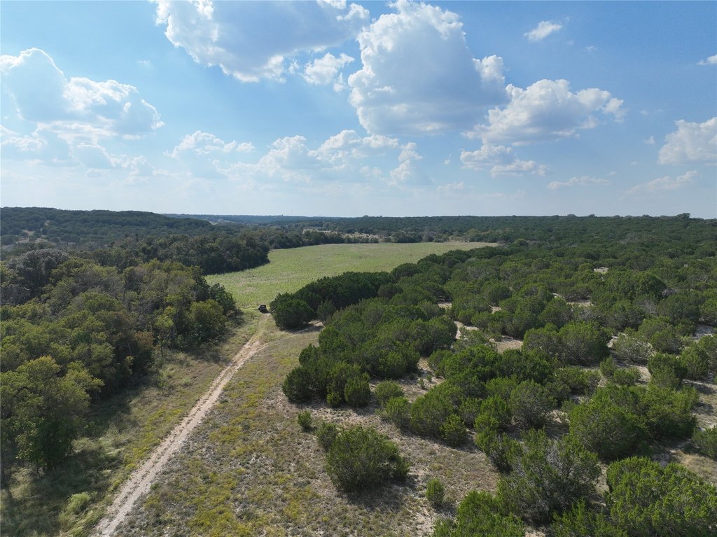 Picture 31