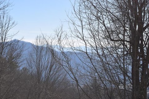 Wooded Acreage in Hills of Cataloochee