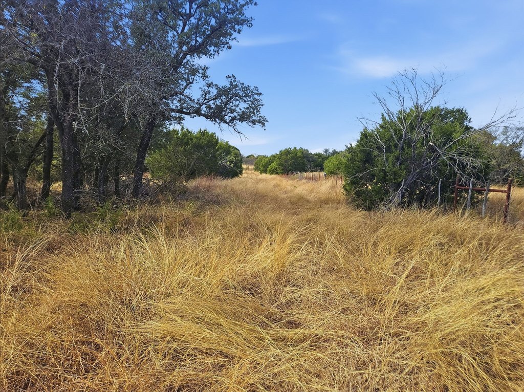 Picture 19