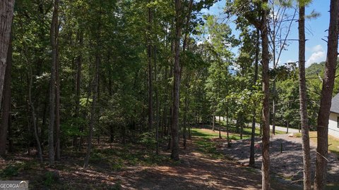 Land, Clarkesville, GA