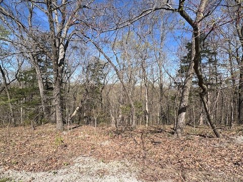 Holiday Island Wooded Lot