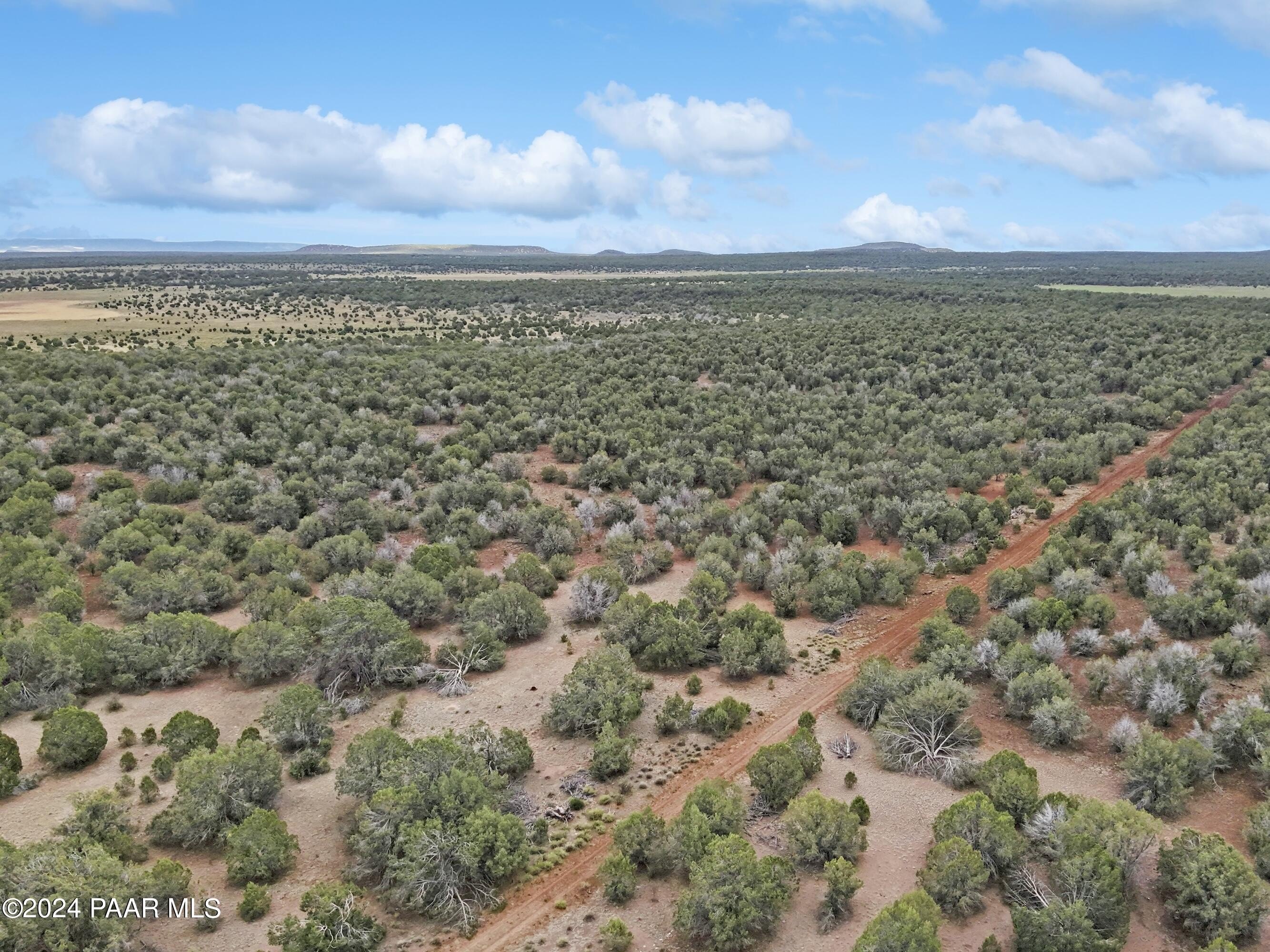 47 Acres in Ash Fork