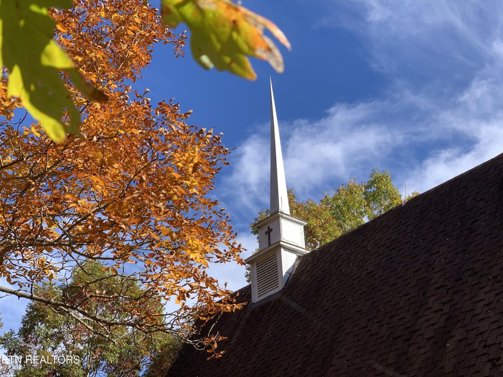 Picture 31