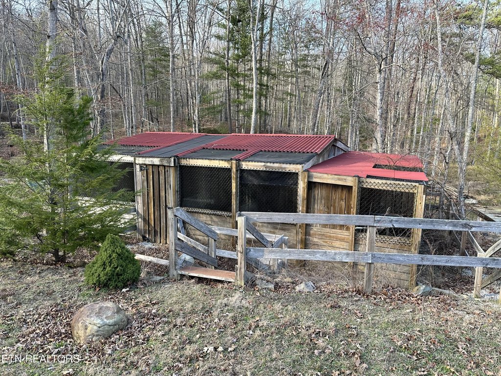 Picture 16