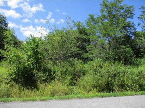 Land, South Plymouth, NY