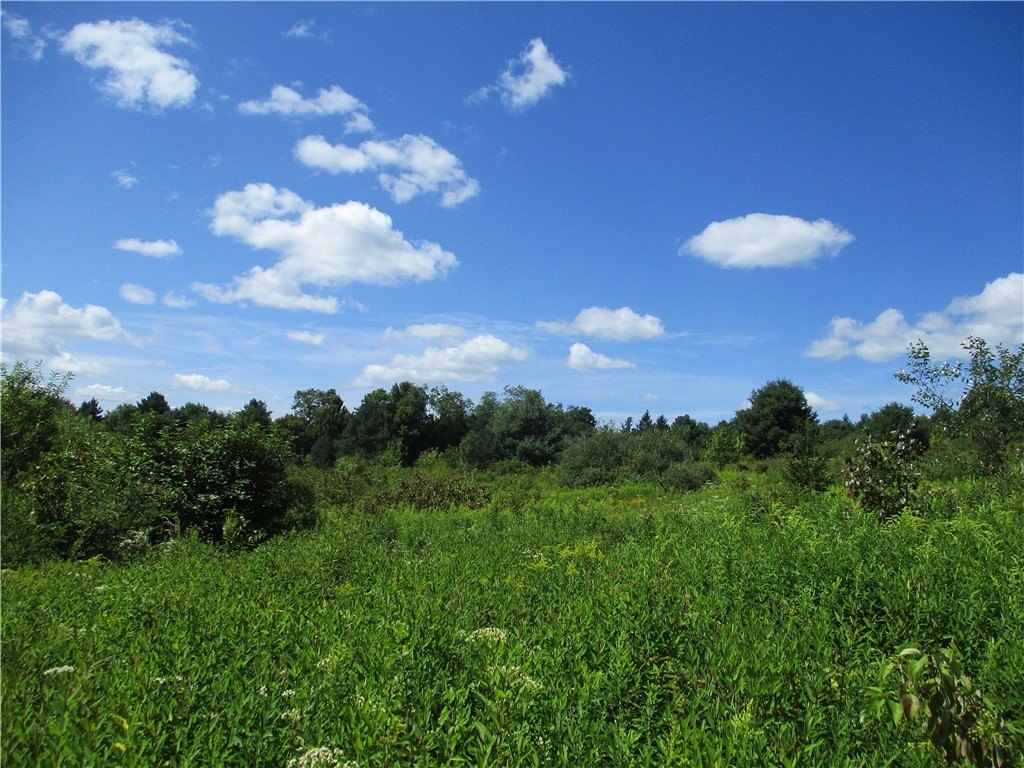 Picture 7