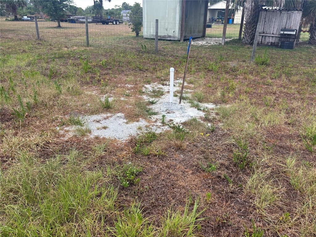 Picture 9