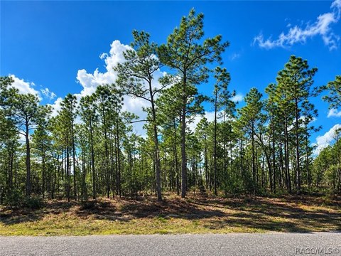 Dunnellon, FL Vacant Lot