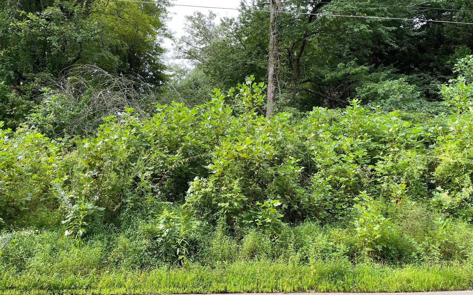 Hayesville, NC Vacant Lot