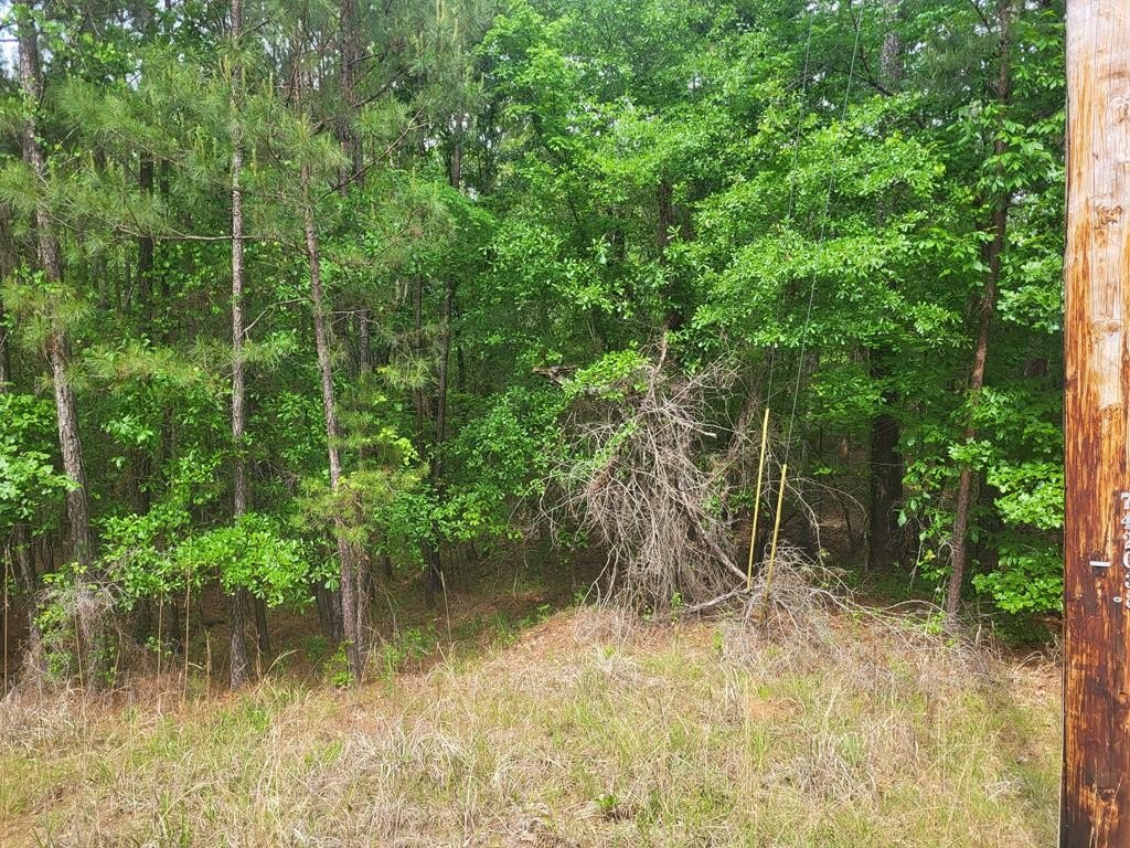 Half Acre Lot Near Lake