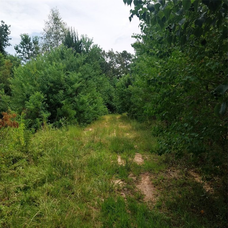 Picture 9
