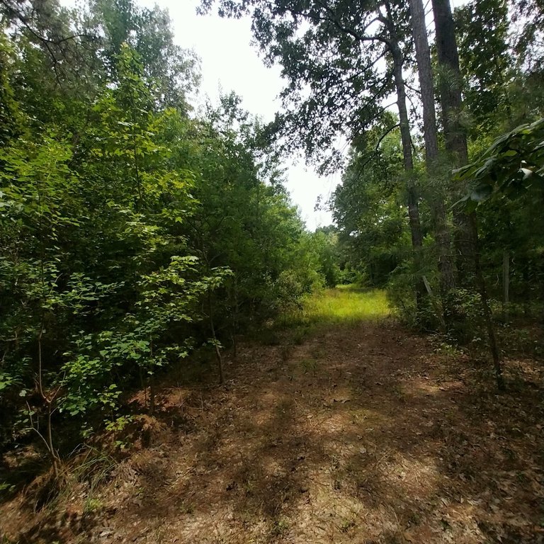 Picture 7