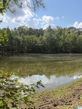 LAND/LOTS, CLANTON, AL