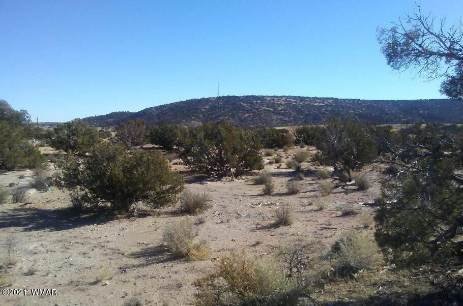 Snowflake Treed Land Parcel