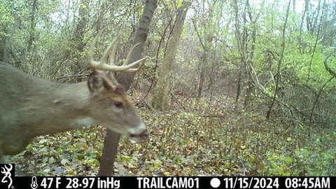 Land For Sale Albion, MI