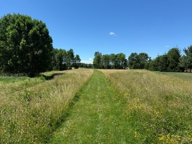 Picture 5