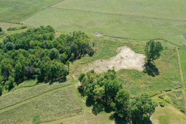 Picture 16