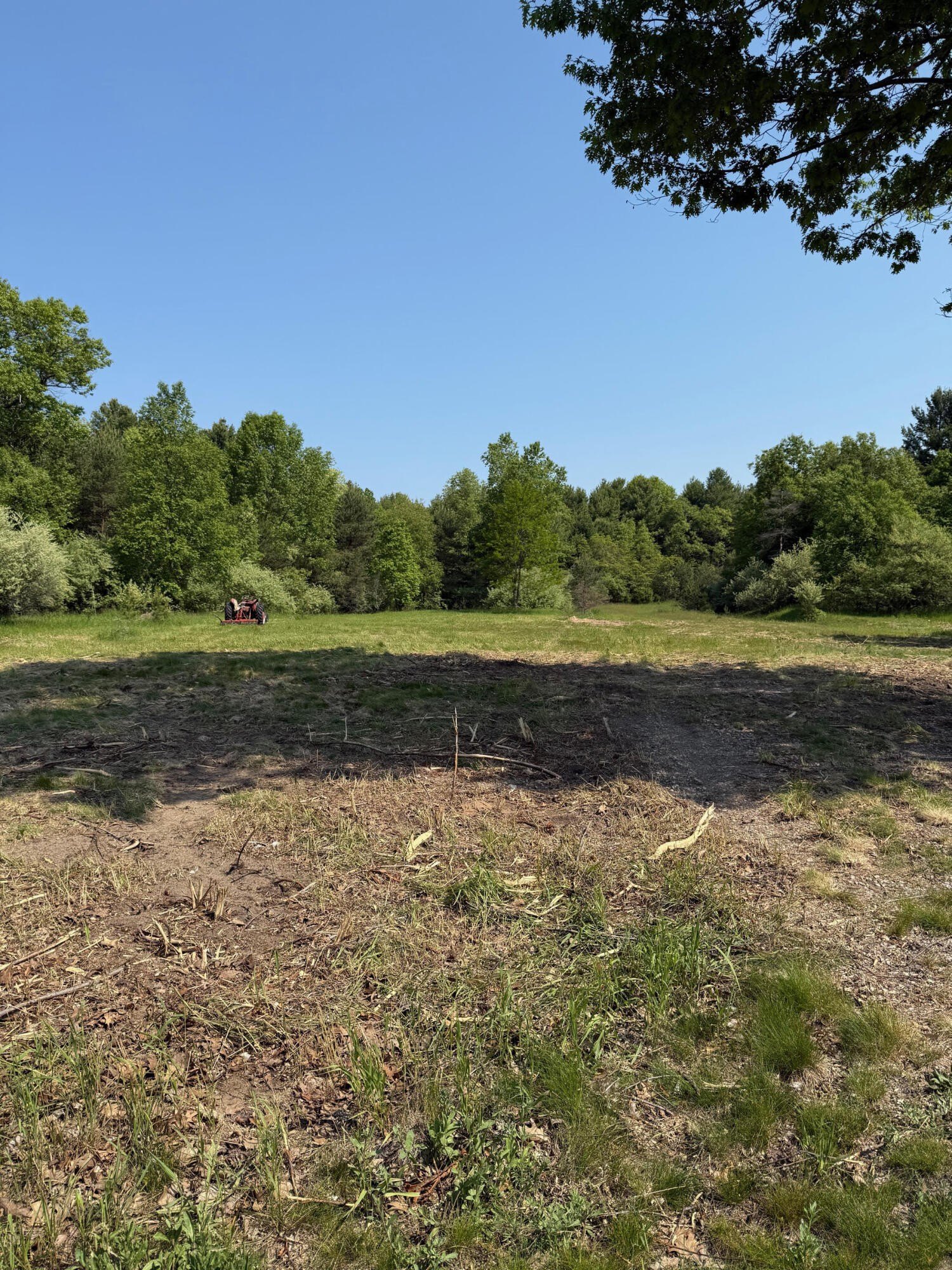 Manistee Land For Sale