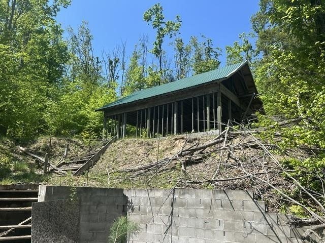 Picture 5