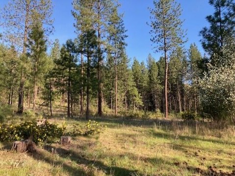 Kettle Falls Acreage Homesite