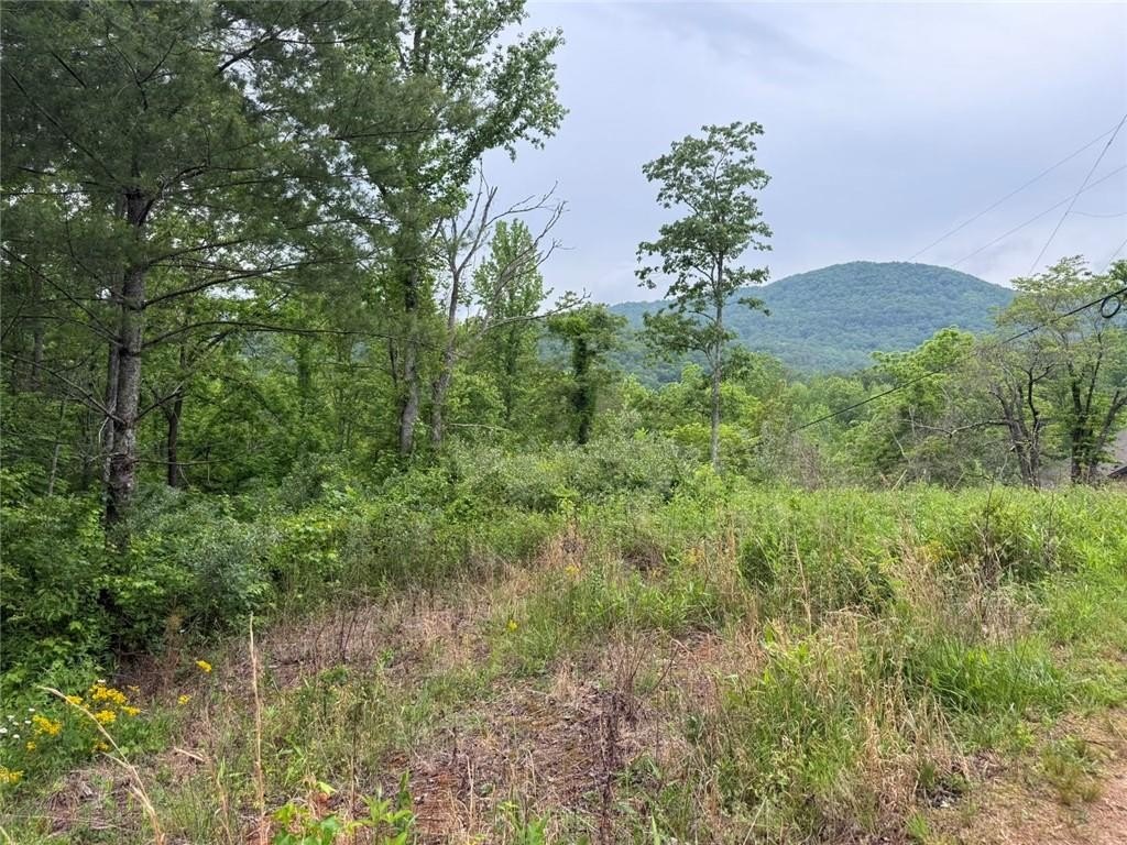 1.7-Acre Homesite in Cleveland, GA