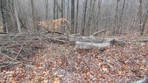 Land in Center Hill Shores