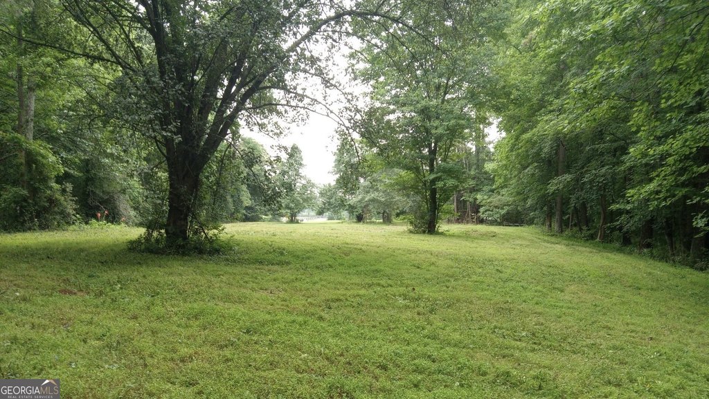 Picture 2