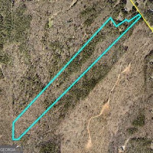 29.58 Acres Wooded Land Parcel