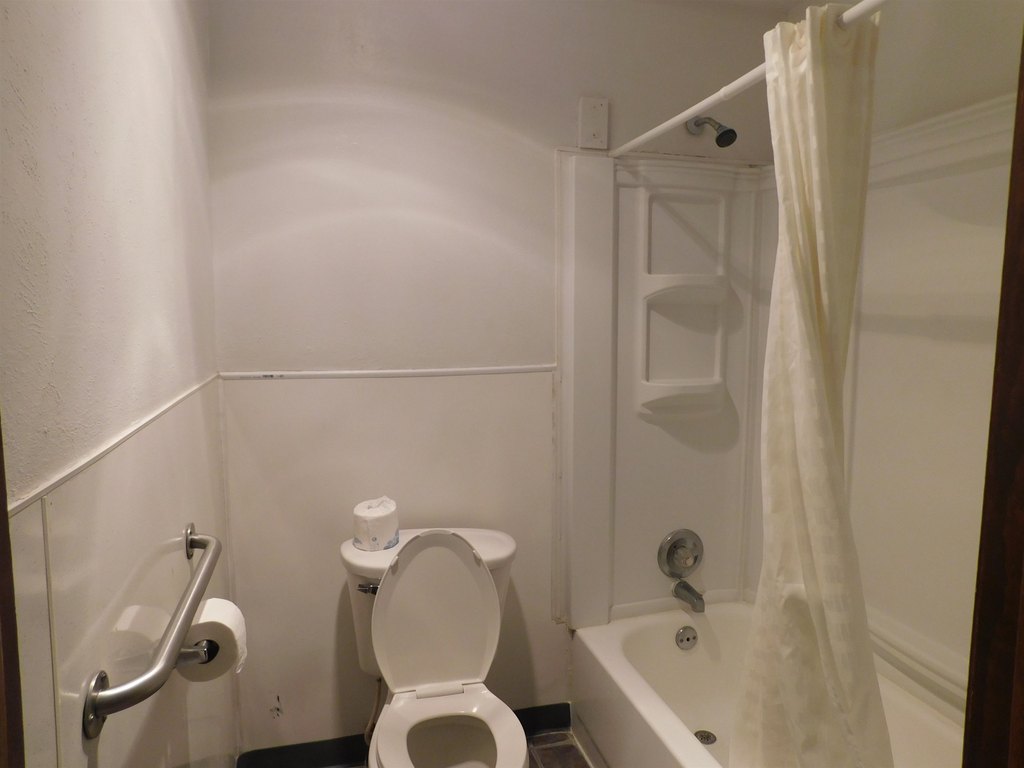 Picture 12